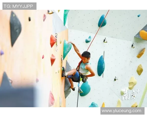 攀岩精神:杭州攀岩队勇攀高峰的奋斗与成长历程纪实